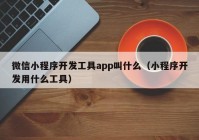 微信小程序开发工具app叫什么（小程序开发用什么工具）