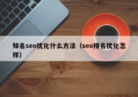 知名seo优化什么方法（seo排名优化怎样）